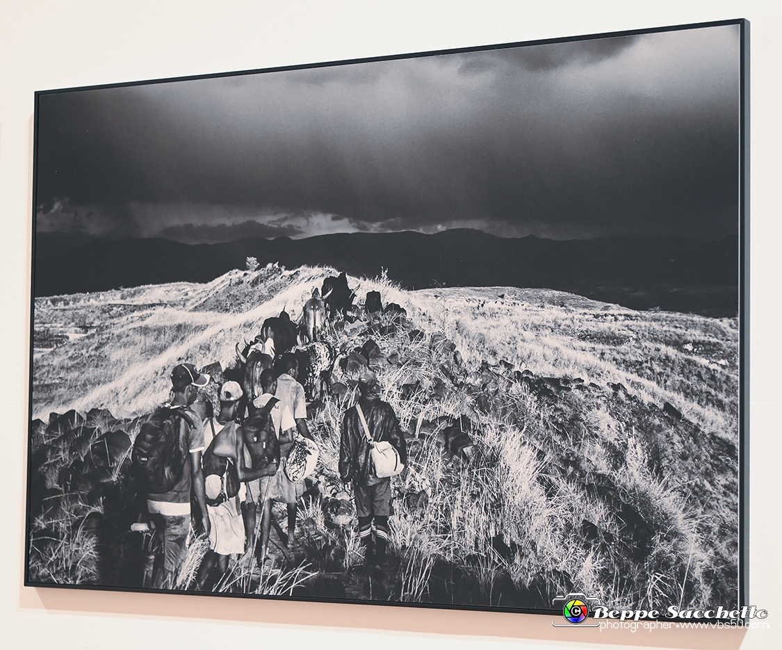 VBS_0676 - World Press Photo Exhibition 2022.jpg